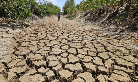El Nino mạnh nhất trong 3 tháng cuối năm tác động đến từng khu vực thế nào?