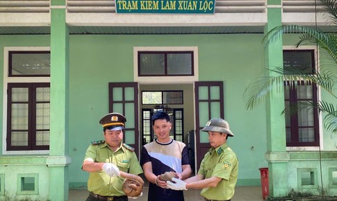 Người dân Huế giao nộp cùng lúc 2 cá thể động vật quý hiếm