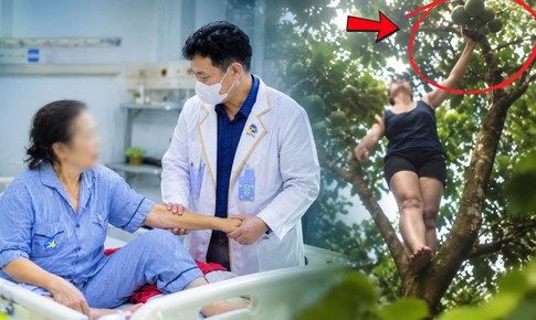 Trèo cây hái quả, người phụ nữ ngã chấn thương gan, suýt mất mạng