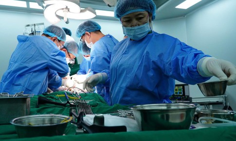 Điều phối tạng hiến cần minh bạch, khoa học và kịp thời