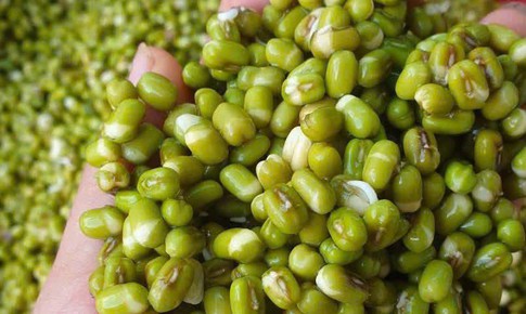 3 lợi ích bất ngờ từ thói quen ngâm đậu trước khi chế biến