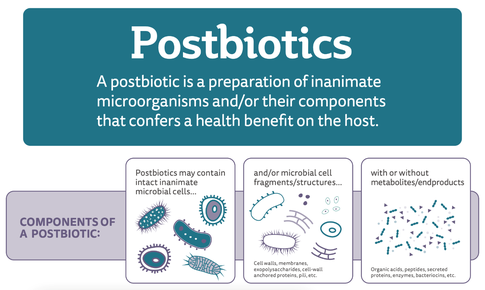 Công nghệ lợi khuẩn Postbiotic – Tiếp cận từ bằng chứng khoa học và thử nghiệm lâm sàng