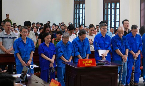 Tuyên phạt 17 bị cáo trong vụ án xảy ra tại Công ty Đồ hộp Hạ Long