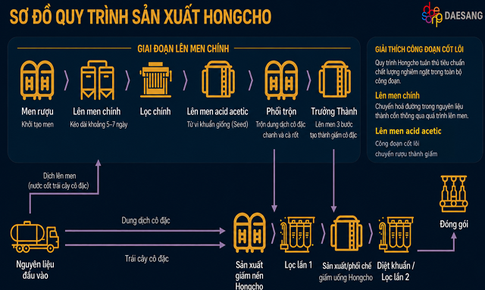 Giấm uống lên men Hongcho: Quy trình lên men, thành phần tạo nên sản phẩm thương hiệu