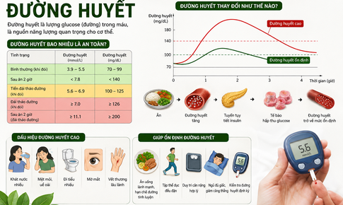 Uống nước lá sung có kiểm soát được đường huyết?