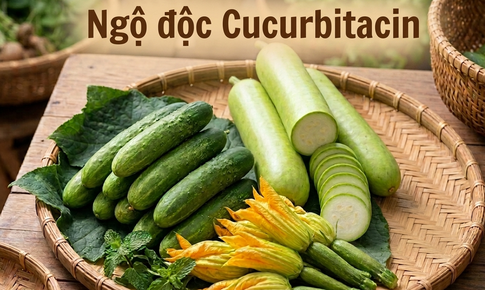 Cảnh báo nguy hiểm ngộ độc cucurbitacin từ các loại rau quả họ bầu bí