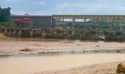 Làm rõ nguyên nhân hạ mực nước sông đột ngột khiến gần 10 tấn cá nuôi chết