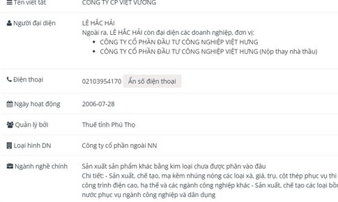 Công ty Cổ phần Việt Vương vi phạm chứng khoán