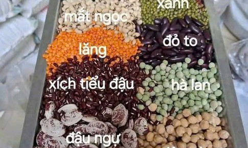 Điều gì xảy ra với cơ thể khi ăn các loại đậu mỗi ngày?