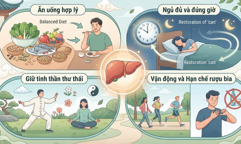 Dưỡng gan theo Y học cổ truyền