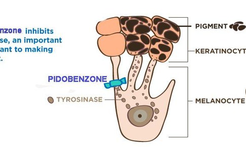 Trị n&#225;m da hiệu quả v&#224; an to&#224;n với kem b&#244;i tại chỗ