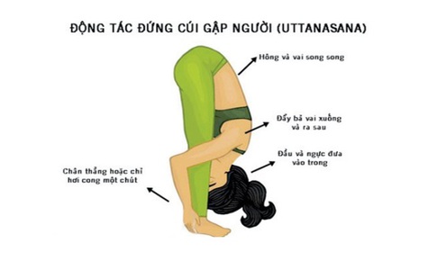 5 b&#224;i tập đơn giản gi&#250;p đẩy l&#249;i bệnh tật