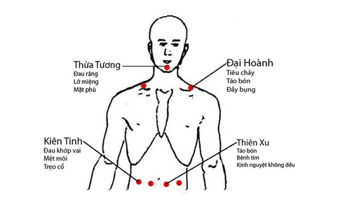 Cứu huyệt dưỡng sinh