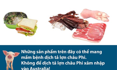 C&#225;c sản phẩm thịt lợn bị cấm mang v&#224;o Australia, kể cả thịt lợn kh&#244;