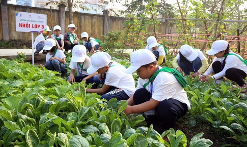 Cải thiện dinh dưỡng gi&#250;p h&#224;ng triệu trẻ em c&#243; một cuộc sống khỏe mạnh