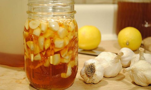 Vị thuốc quý từ dấm