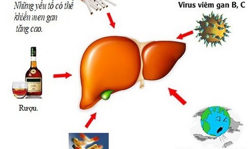 7 biện ph&#225;p tự nhi&#234;n để giảm men gan