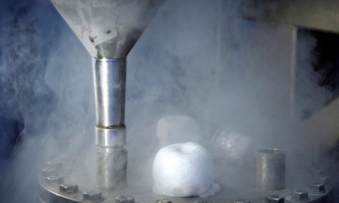 Những bất ngờ về tinh trùng