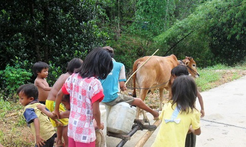 Trăn trở Cư Pui
