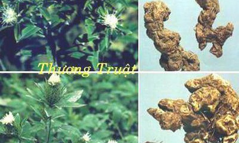 B&#224;i thuốc ph&#242;ng v&#224; trị thấp tim