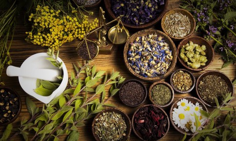 Bài thuốc chữa tiểu đục