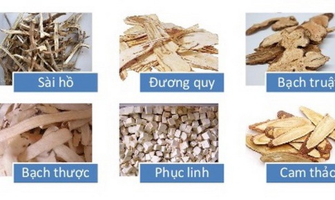 Gia giảm những bài thuốc cổ phương trong điều trị