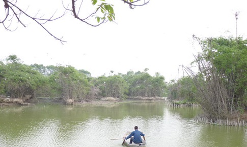 Những hiệp sĩ thi&#234;n nhi&#234;n