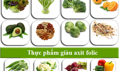 Vai tr&#242; của acid folic trong dự ph&#242;ng dị tật thai nhi