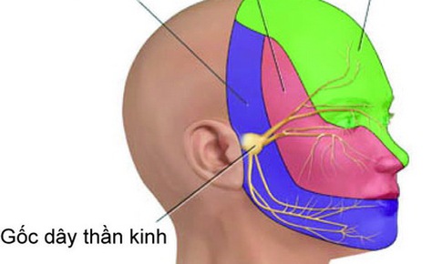 Nhận biết đau d&#226;y thần kinh số V