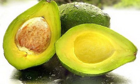 Cây bơ bổ dưỡng và vị thuốc quý