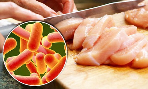 Ngộ độc thực phẩm do vi khuẩn Salmonella v&#224; c&#225;ch xử tr&#237;