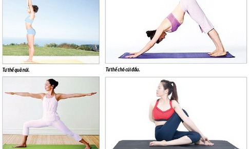 C&#225;c tư thế cơ bản cho người mới tập yoga