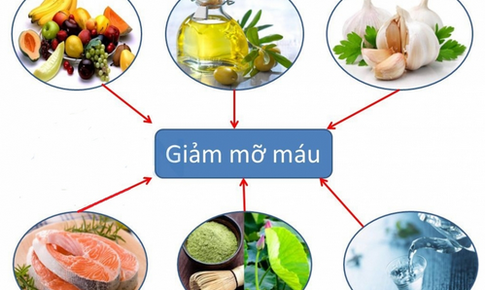 Dinh dưỡng cho người rối loạn lipid m&#225;u