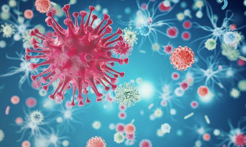 Con người và cuộc chiến với virus