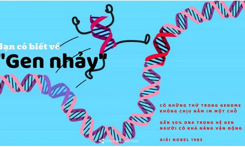 Gene nhảy - C&#244;ng hay tội?