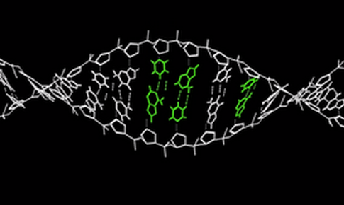 Kỹ thuật crispr mới c&#243; thể chữa hầu hết c&#225;c bệnh về di truyền?