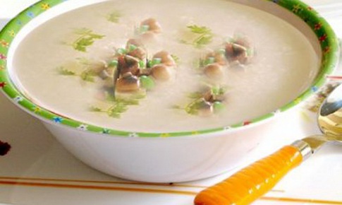 Địa cốt bì chữa hư nhiệt, lao nhiệt