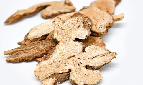 Dược thiện từ bạch truật