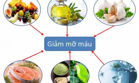 Cần l&#224;m g&#236; khi bị rối loạn mỡ m&#225;u?