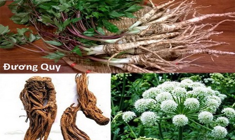 Một số bài thuốc quý trị chứng ôn dịch lây qua đường hô hấp