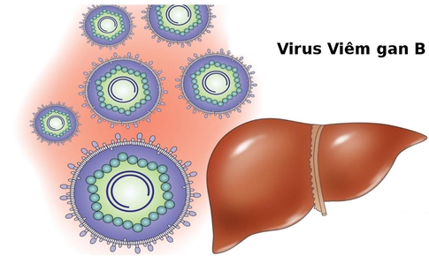 Dinh dưỡng cho người bị vi&#234;m gan B