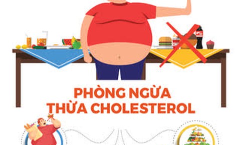 Thừa cholesterol g&#226;y hậu quả g&#236;?