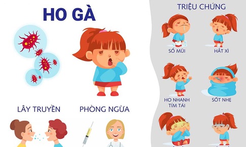 Cần ch&#250; &#253; ph&#242;ng bệnh ho g&#224; cho trẻ