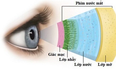 Mắt bị ngứa, đỏ v&#236; sao?