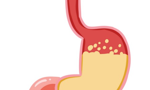 Ký sự của thức ăn
