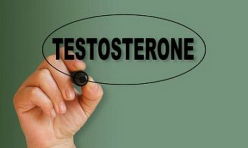 Testosterone “ anh” l&#224; ai?