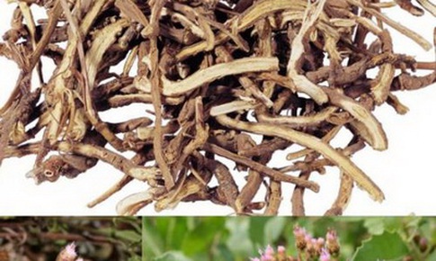B&#224;i thuốc chữa bệnh do tinh thần uất ức