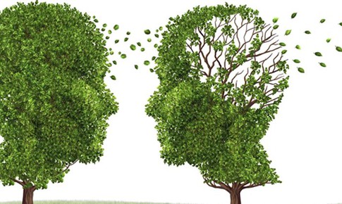 Alzheimer – căn bệnh c&#243; thể ph&#242;ng tr&#225;nh được