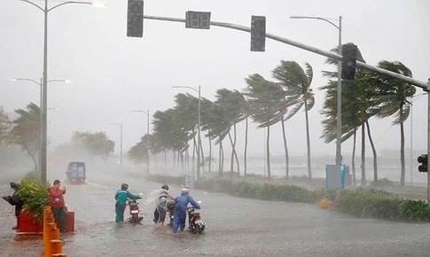 Ban chỉ đạo TƯ ph&#242;ng chống thi&#234;n tai: C&#242;n 10-12 cơn b&#227;o nữa trong năm nay