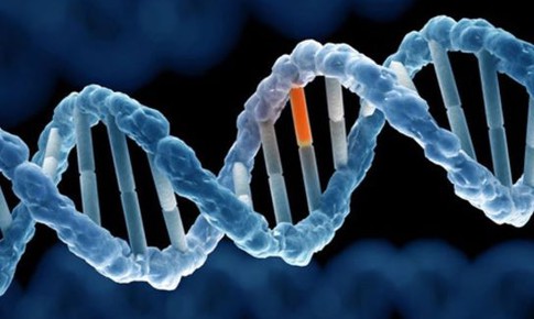 Bất hoạt gene - kỹ thuật mới giúp trị ung thư vú khó chữa